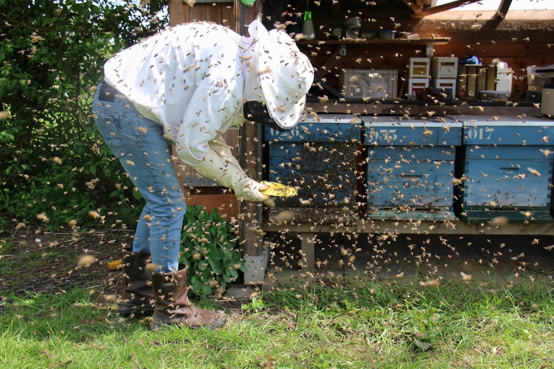 How to Support Bees Even Without Being a Beekeeper: Actions Everyone Can Take