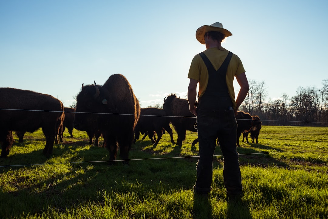 Livestock Monitoring Technologies: Improving Animal Health and Welfare