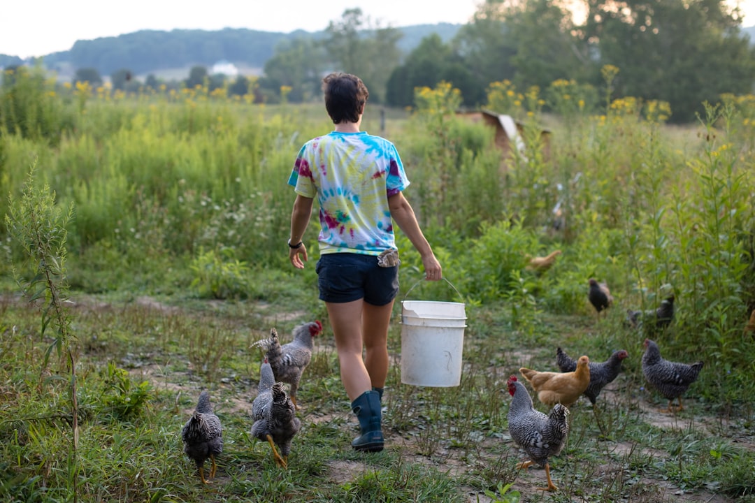 Raising Backyard Chickens (or other small livestock) in a Rural Environment