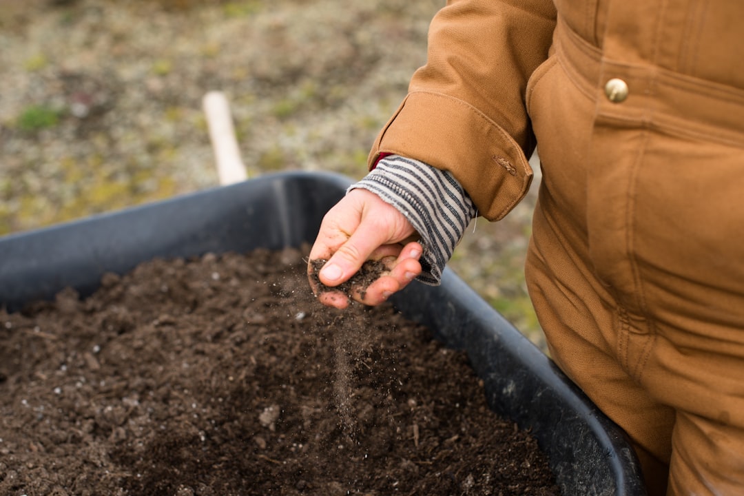 Precision Agronomy: Using Technology for Optimized Crop Management