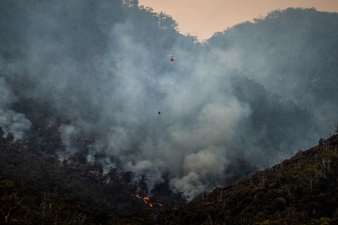 Climate Change and Ecosystem Impacts: Understanding the Effects on Biomes and Species