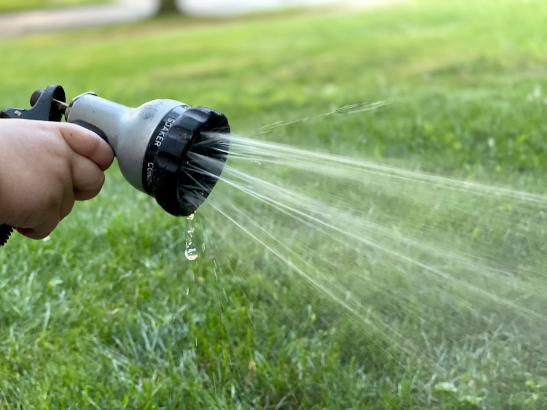 The Ultimate Guide to Watering Your Garden Effectively (Across Different Climates)