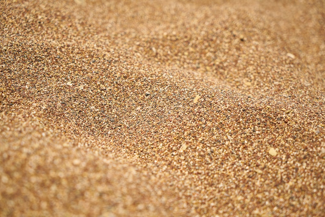 Gardening in Sandy Soil: How to Retain Moisture and Nutrients
