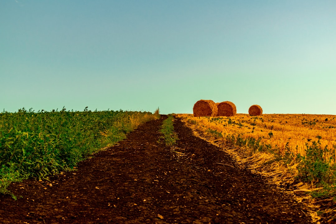 Getting Involved in Local Agricultural Organizations and Events