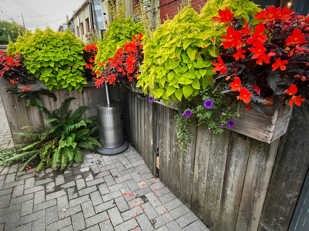Gardening in Small Spaces: Creative Solutions for Balconies, Patios, and Tiny Yards