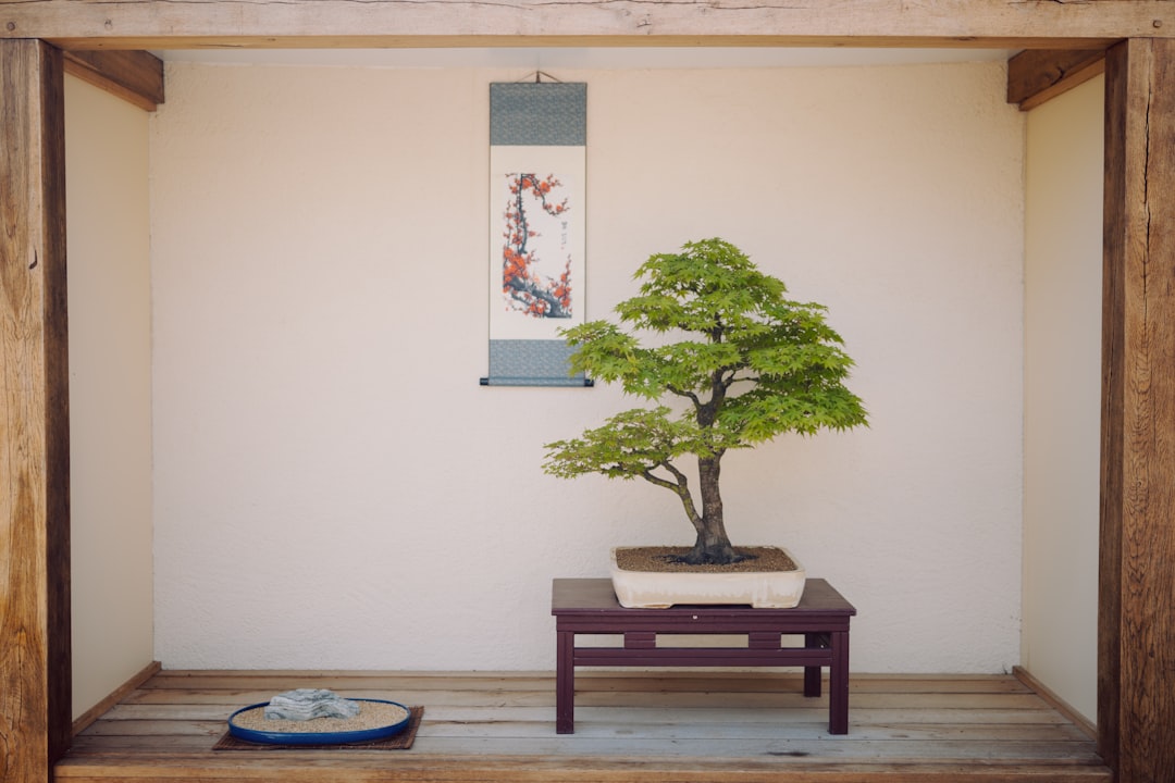 Displaying Your Bonsai: Creating a Serene and Harmonious Setting