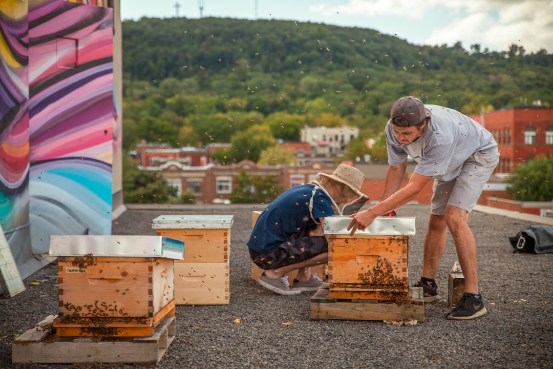 Educational Resources and Organizations for Beekeepers Around the World