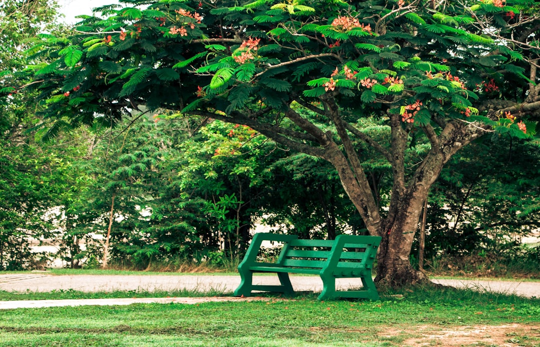 Urban Ecology: Studying the Interactions Between Humans and Nature in Cities